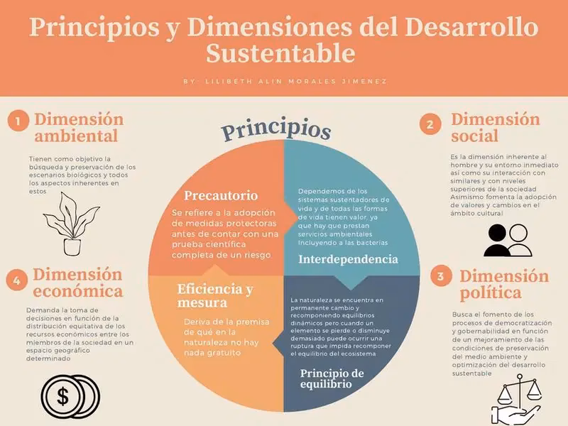 ¿Cuáles son los cuatro pilares de la sustentabilidad?