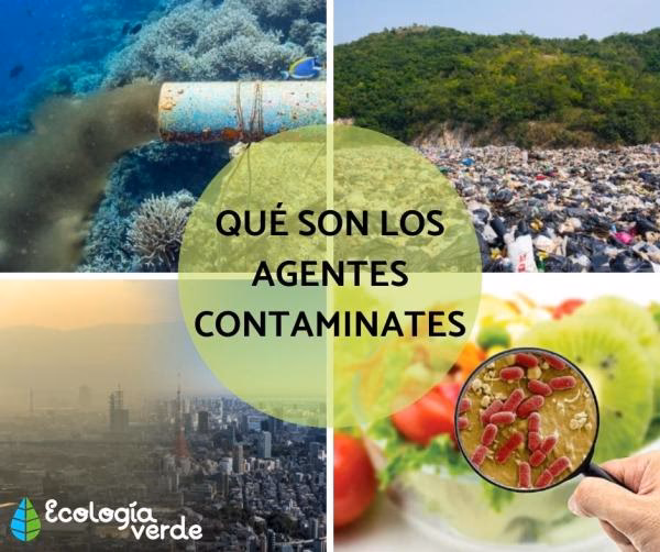 ¿Cómo reducir los agentes contaminantes en el medio ambiente?