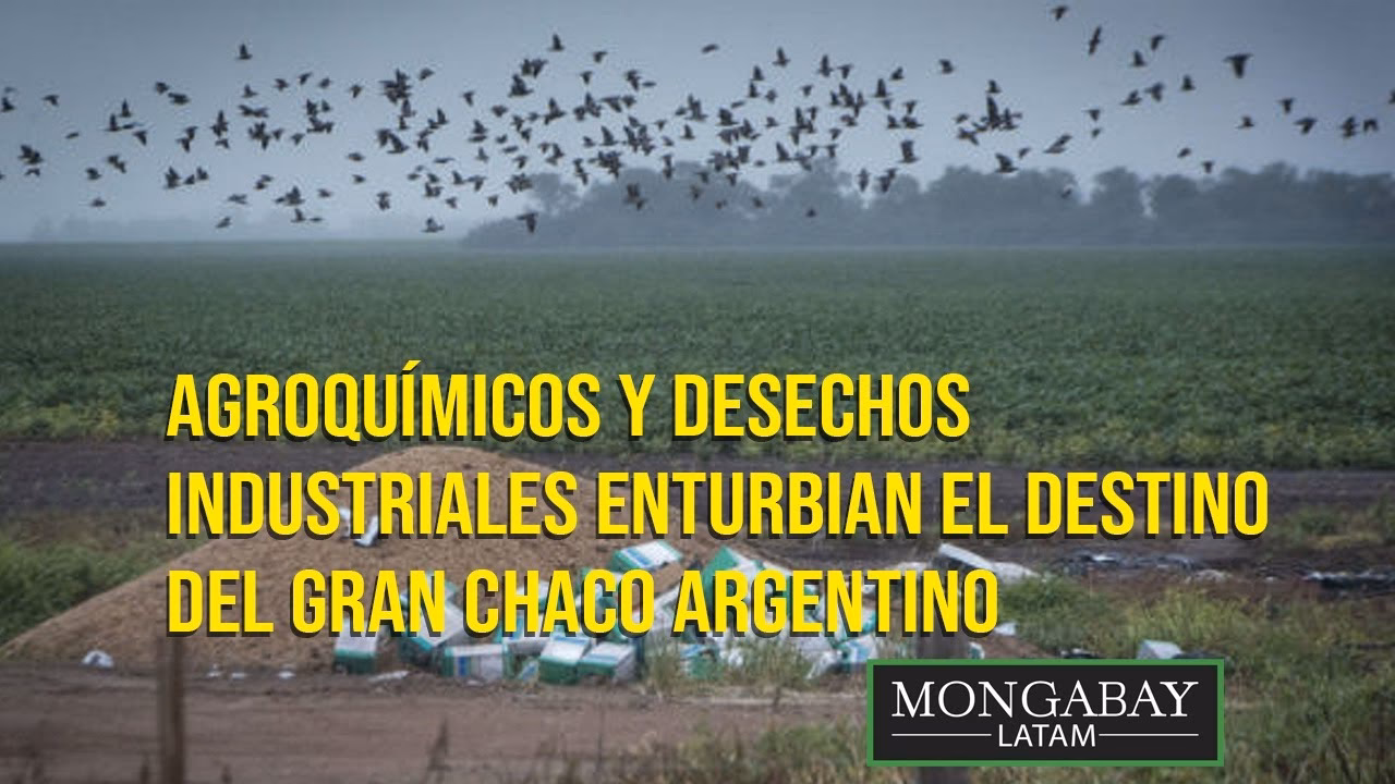 ¿Qué pasa con los agroquímicos en Chaco?