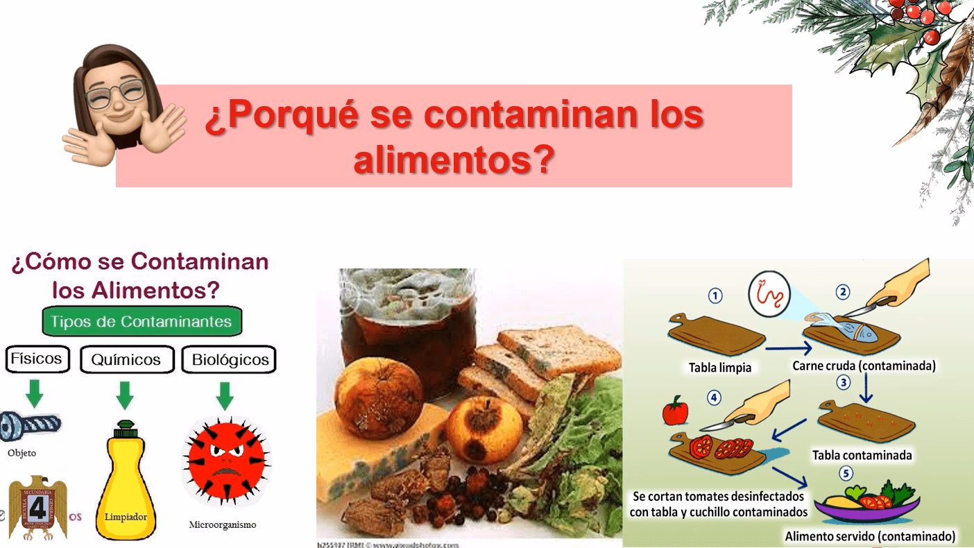 ¿Cuáles son las causas de la contaminación microbiológica de los alimentos?