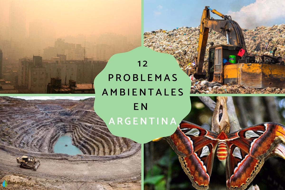 ¿Cuáles son las consecuencias de la contaminación atmosférica en Argentina?