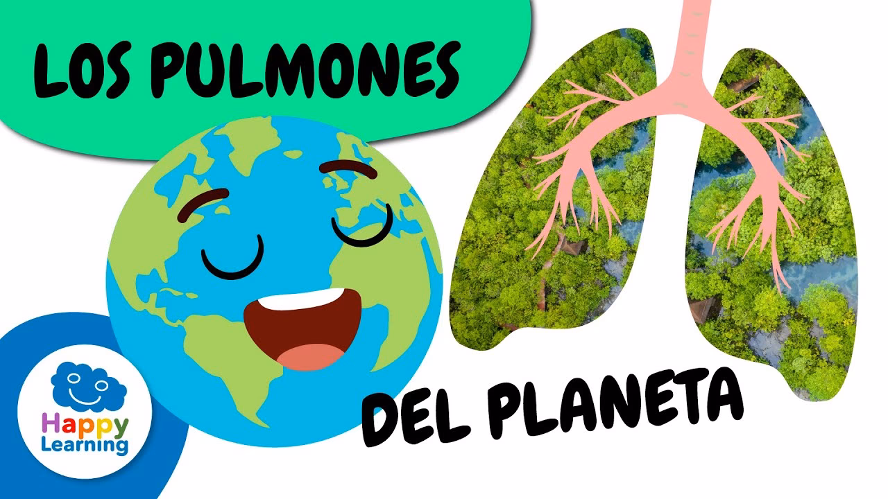 ¿Qué son los pulmones verdes?