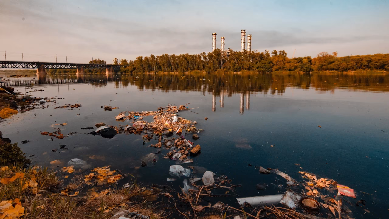 ¿Qué causó la contaminación de los ríos?