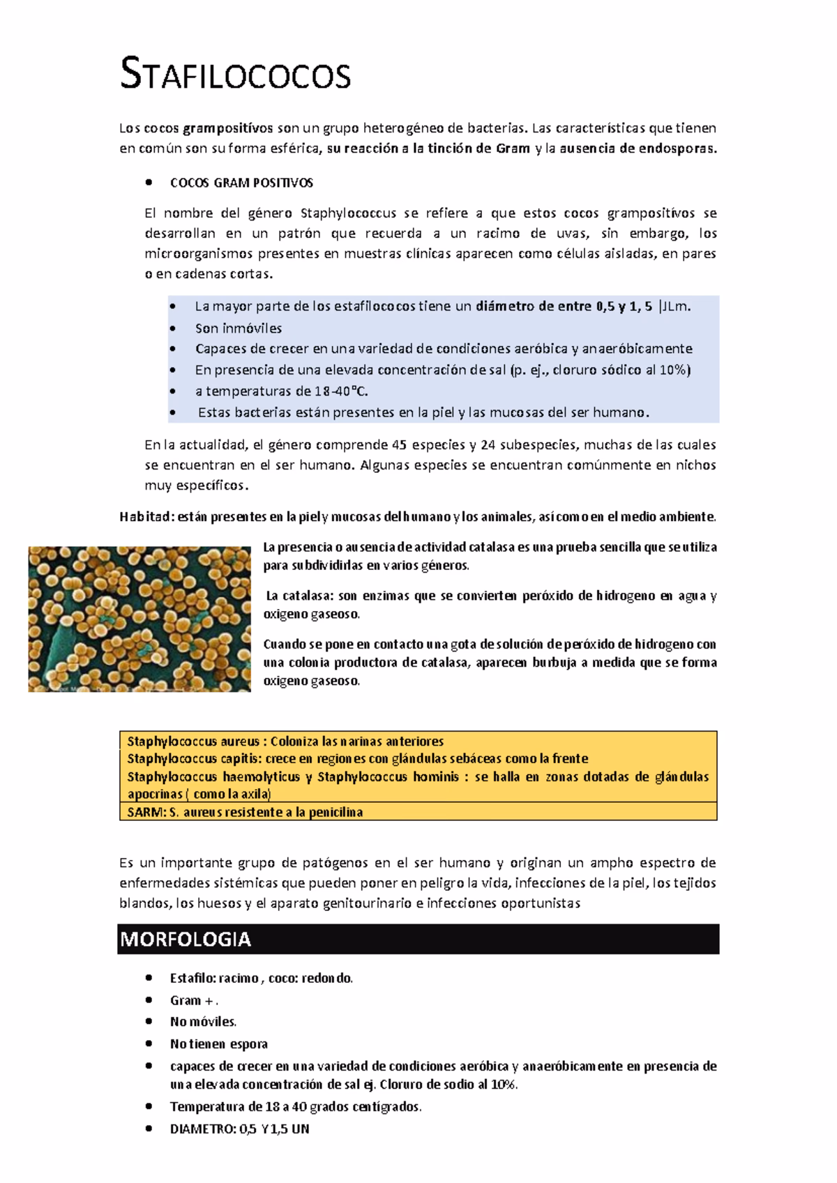 ¿Cuáles son los riesgos del estafilococo aureus?