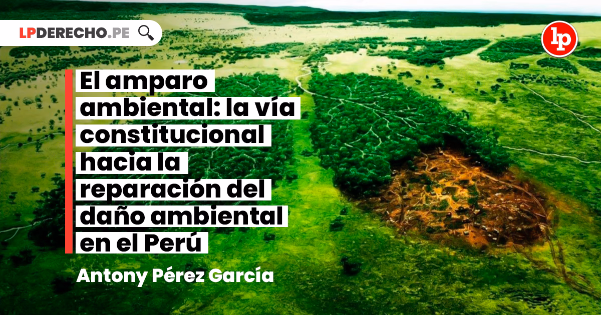 ¿Quién es competente para conocer de la acción de amparo?