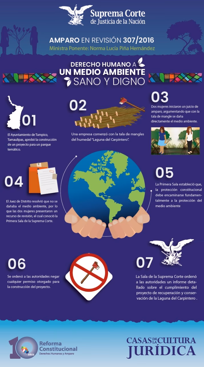 ¿Qué es el proceso de amparo?