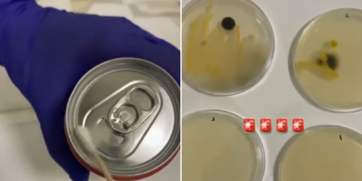 ¿Cómo saber si una lata está contaminada?