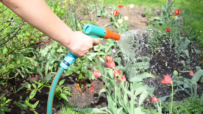 ¿Por qué es importante saber cuánto se gasta de agua en la Regadera?
