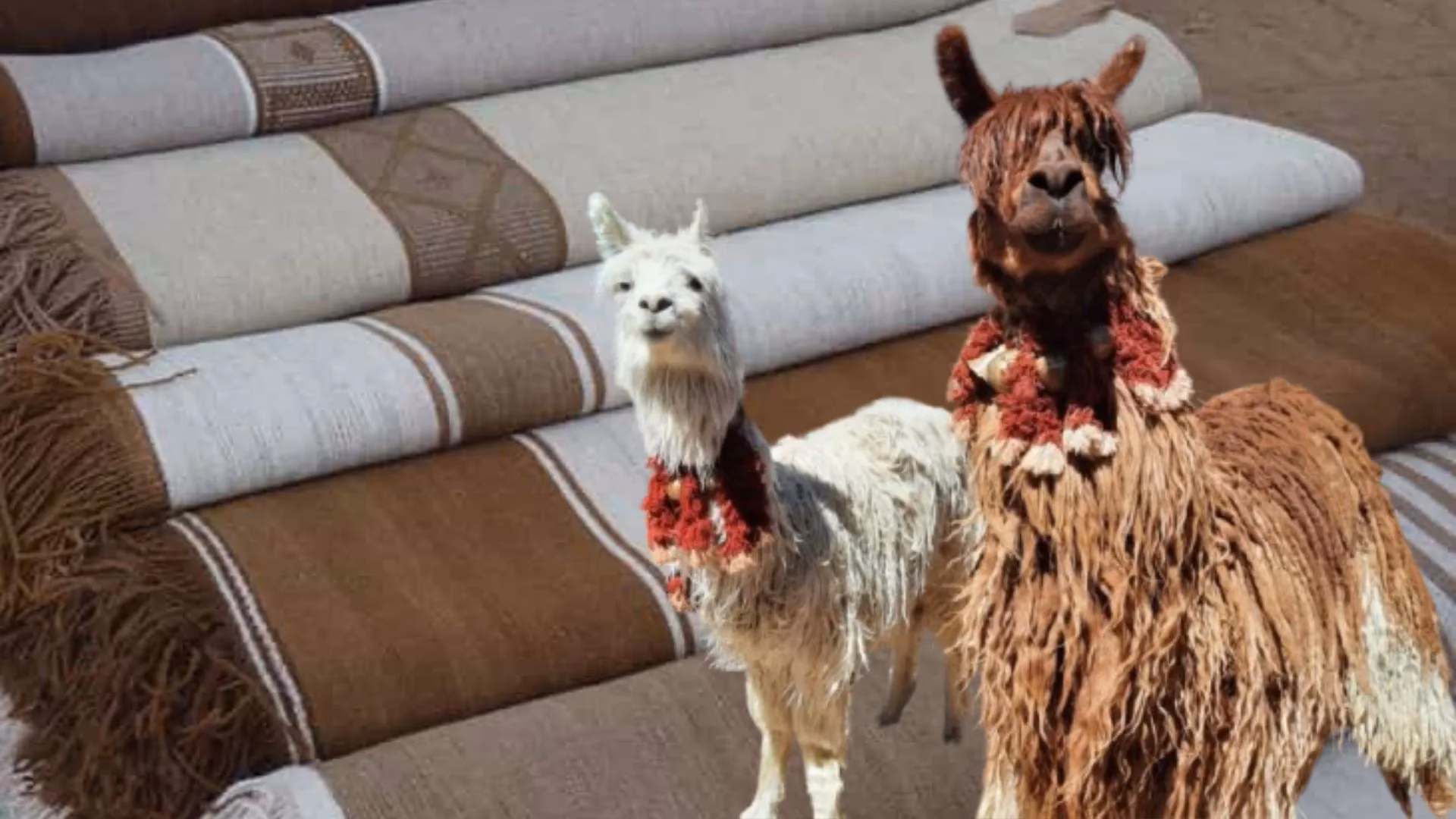 ¿Cuál es el consumo promedio de alpacas?