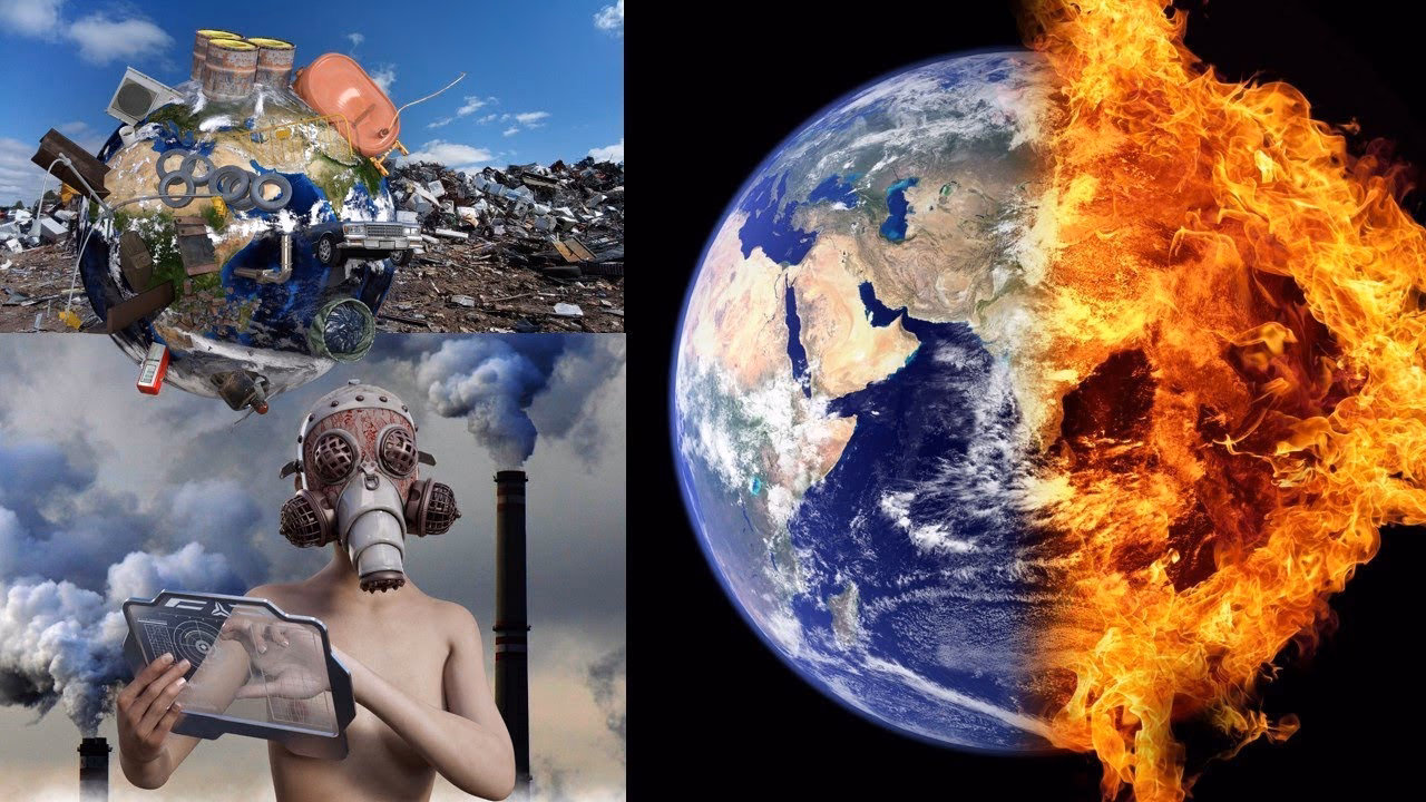 ¿Cuáles son las consecuencias de la contaminación?