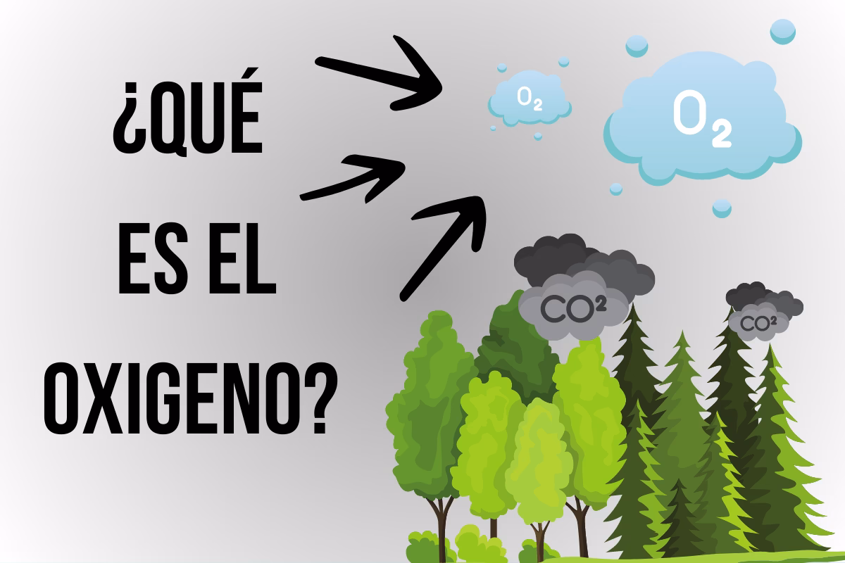 ¿Cuál es la importancia de la oxigenación ambiental?