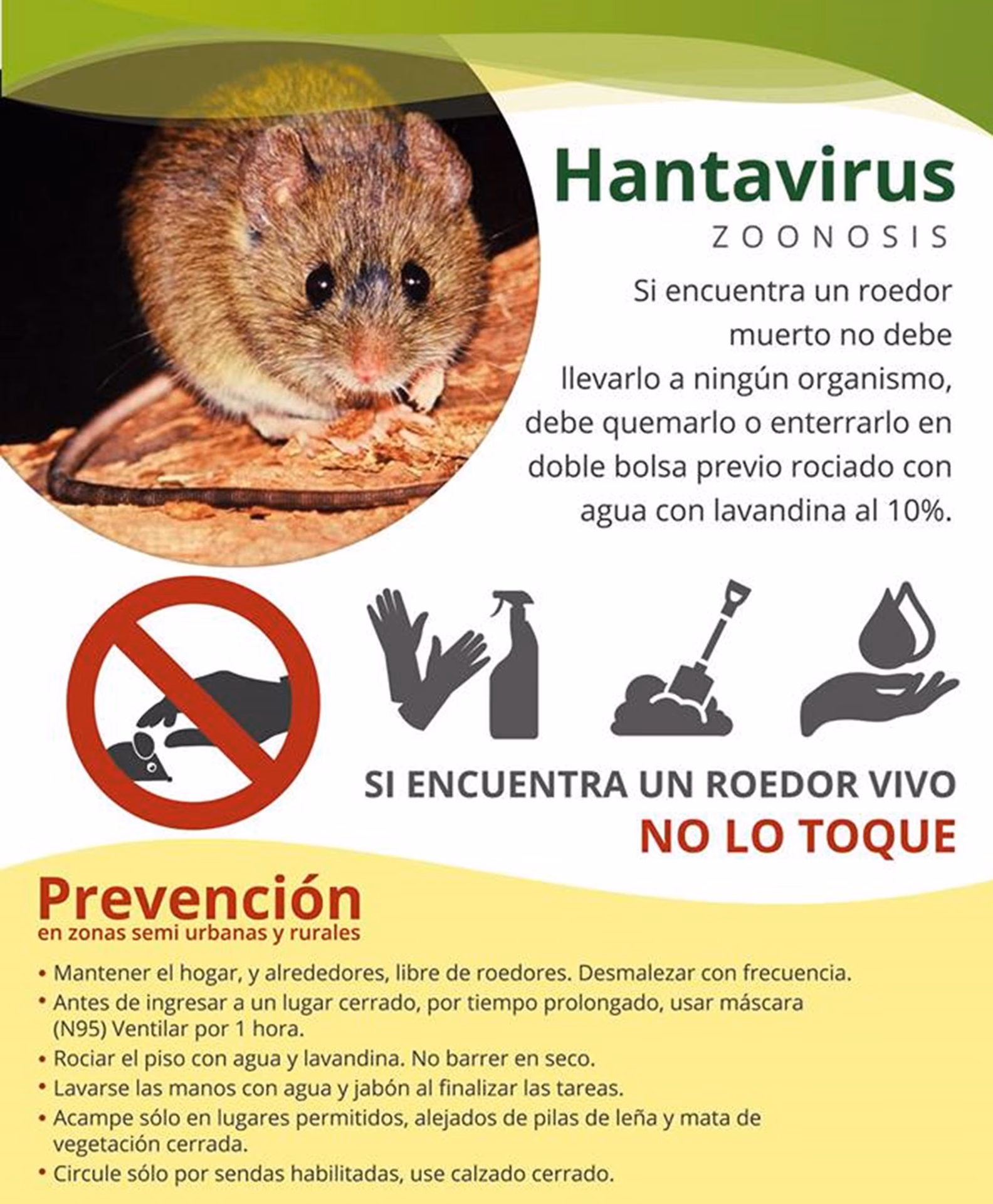 ¿Cómo prevenir la infección por hantavirus?