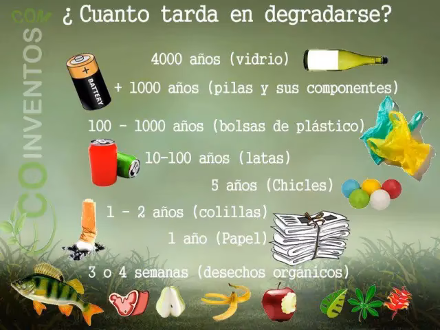 ¿Qué es el proceso de reciclaje de papel?