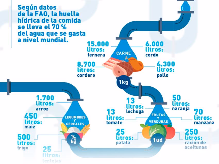 ¿Cuántos litros de agua se necesitan para producir alimentos?