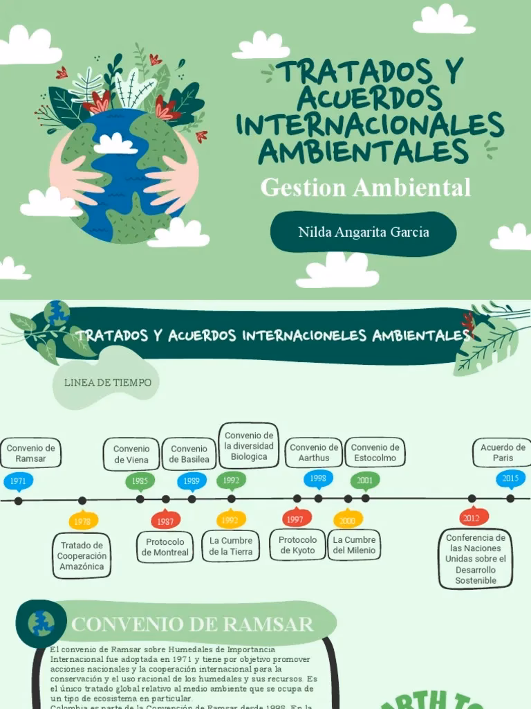 ¿Qué son los convenios ambientales internacionales?