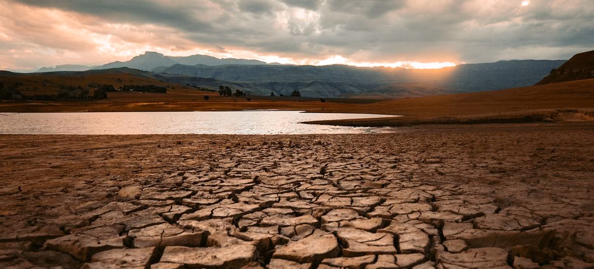 ¿Cuáles son los impactos del cambio climático en las cuencas?