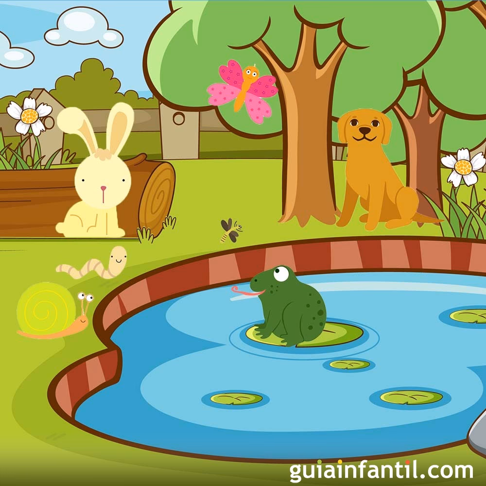 ¿Por qué la ranita de la Laguna Blanca está en peligro de extinción?