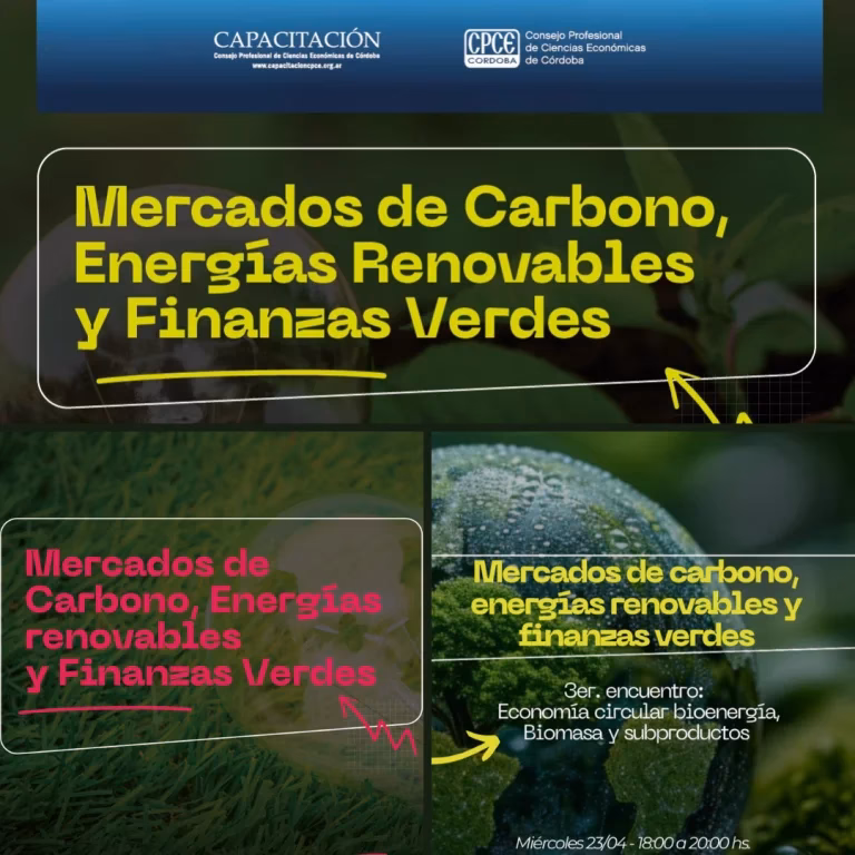 ¿Cómo acompañar el proceso de cuidado ambiental?