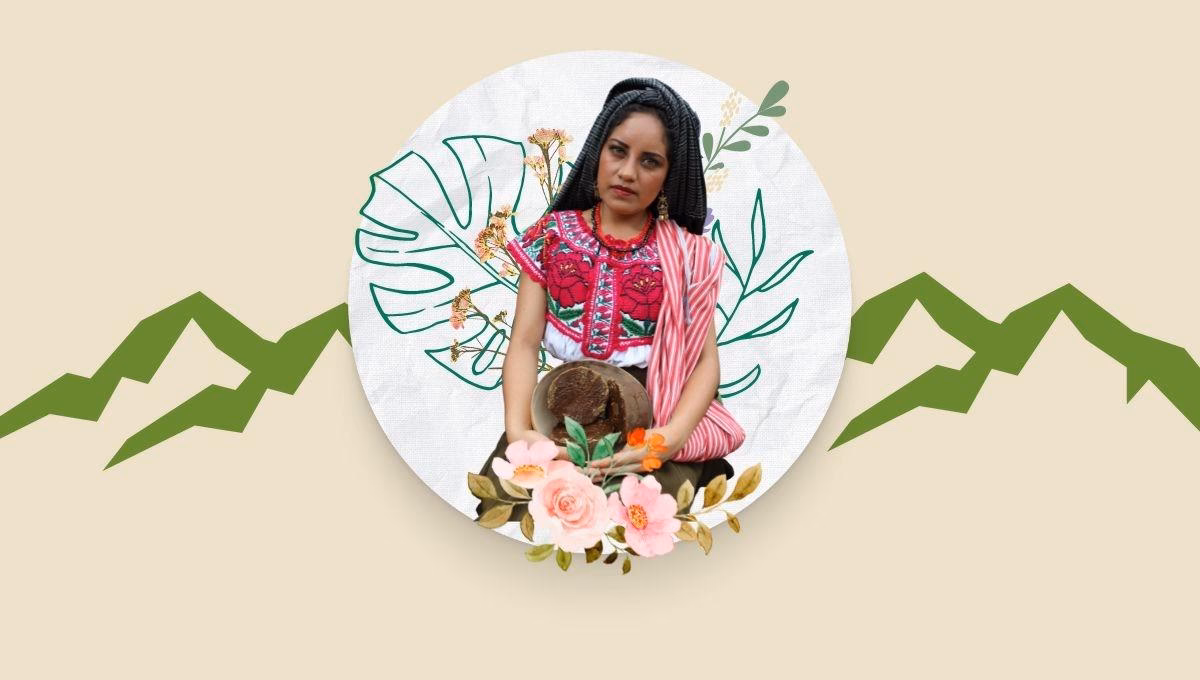 ¿Cuáles son los elementos prescriptivos de las estrategias eco-feministas y ambientalistas?