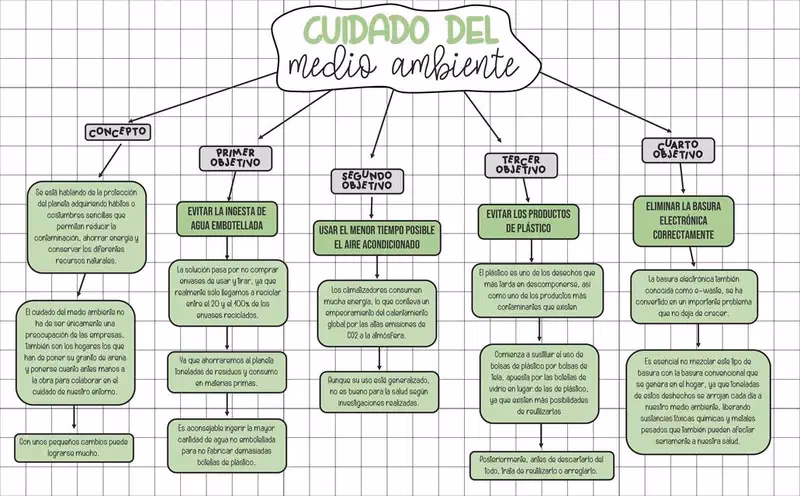¿Cuál es la importancia del cuidado del Medio Ambiente?