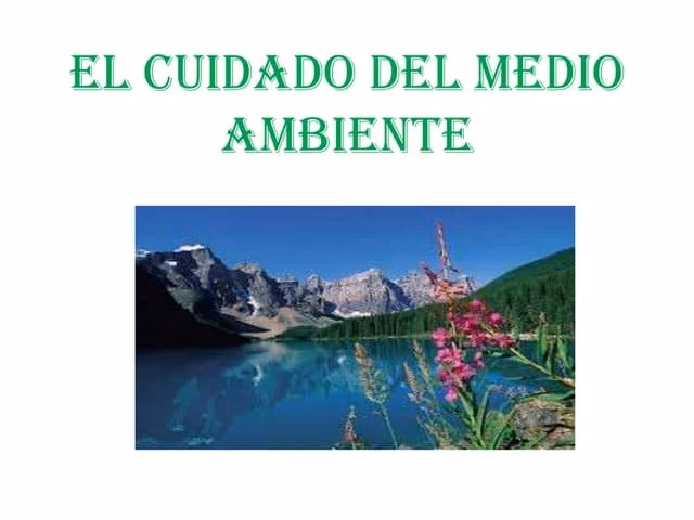 ¿Cómo ayudar a tu hijo a cuidar el medio ambiente?
