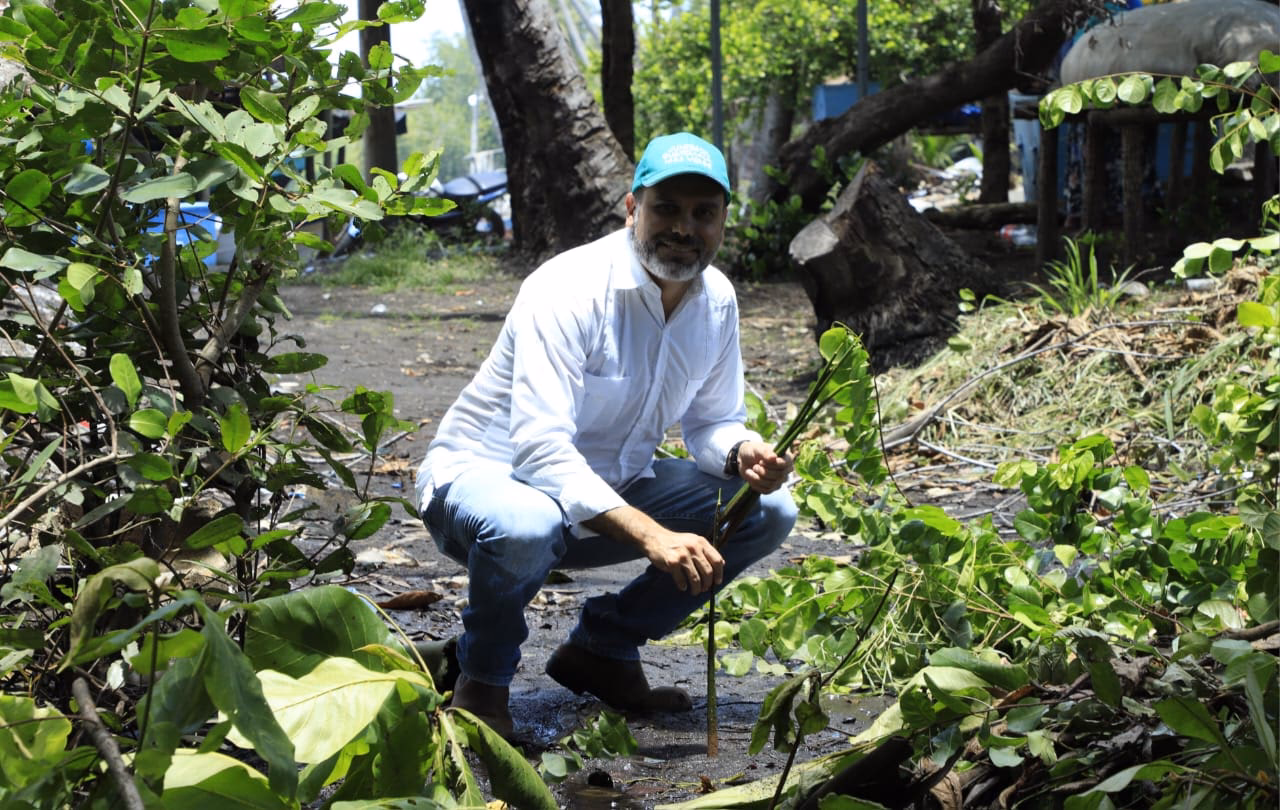 ¿Qué es el cuidado sostenible del Medio Ambiente?