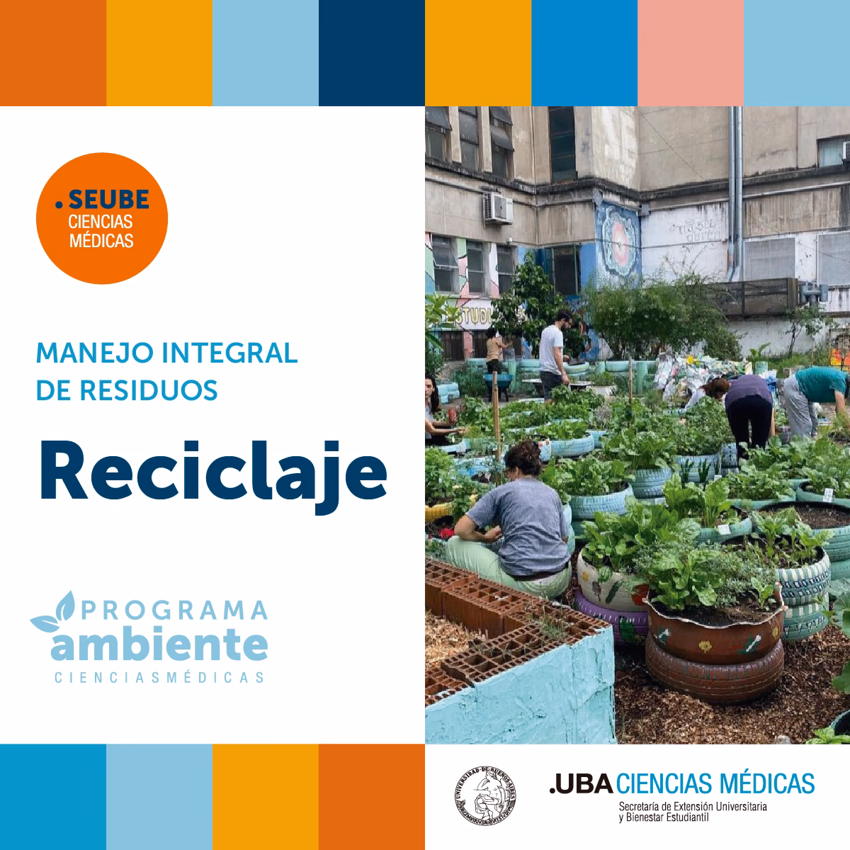 ¿Cómo promover el cuidado del Medio Ambiente en la Escuela?