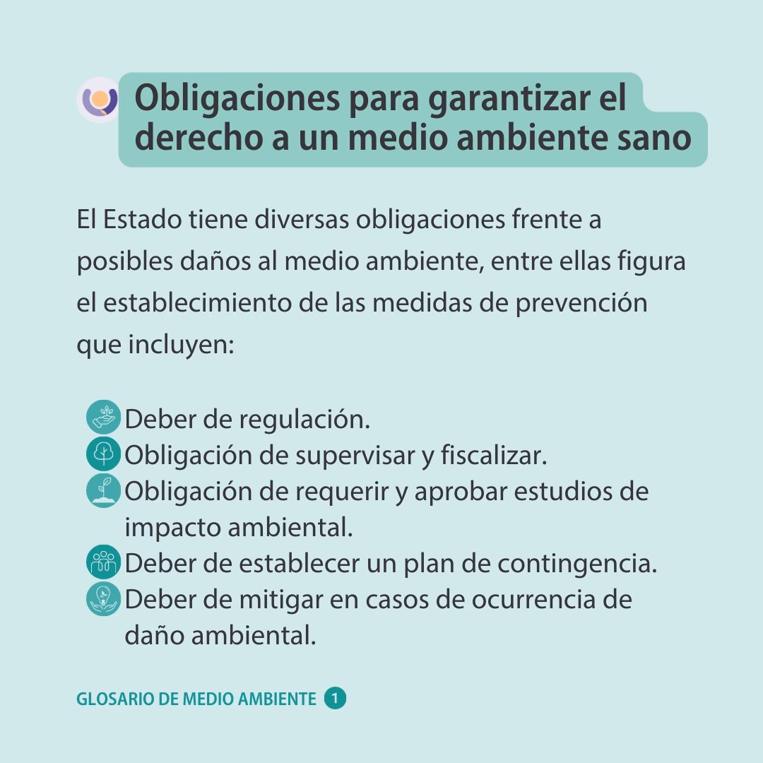 ¿Qué es el cuidado del ambiente?