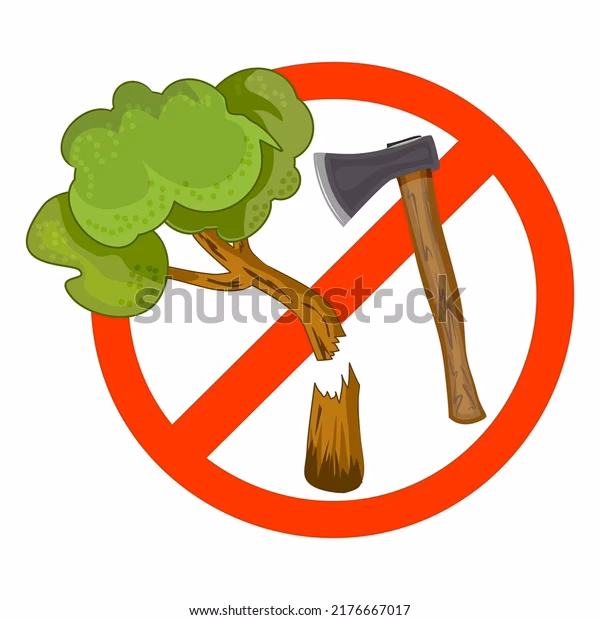 ¿Cómo afecta la muerte al medio ambiente?