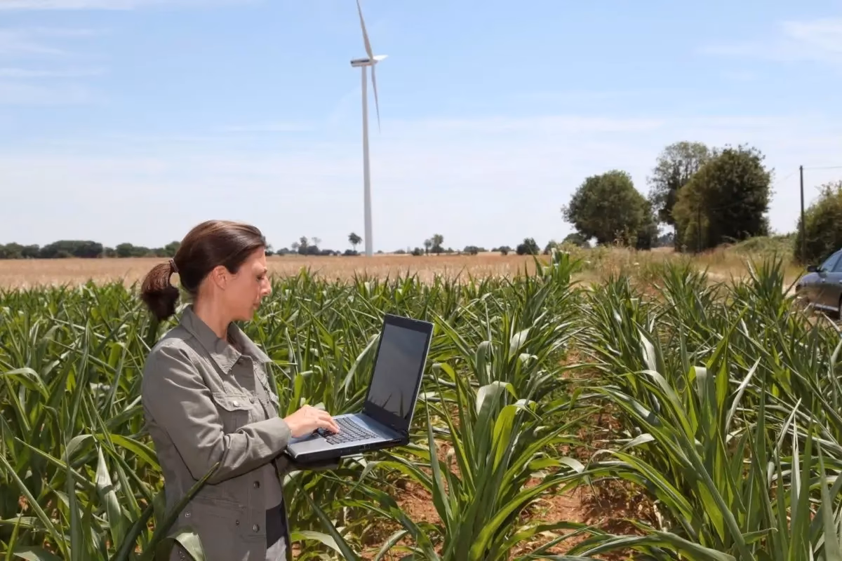 ¿Cuáles son los objetivos del cultivo de maíz?