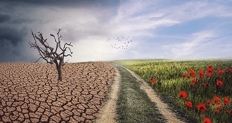 ¿Cómo se adaptan los agricultores al calentamiento global?