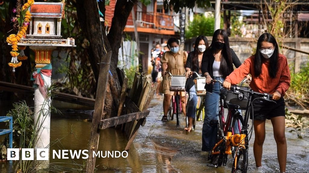 ¿Cuál es el mensaje de la cumbre del cambio climático?