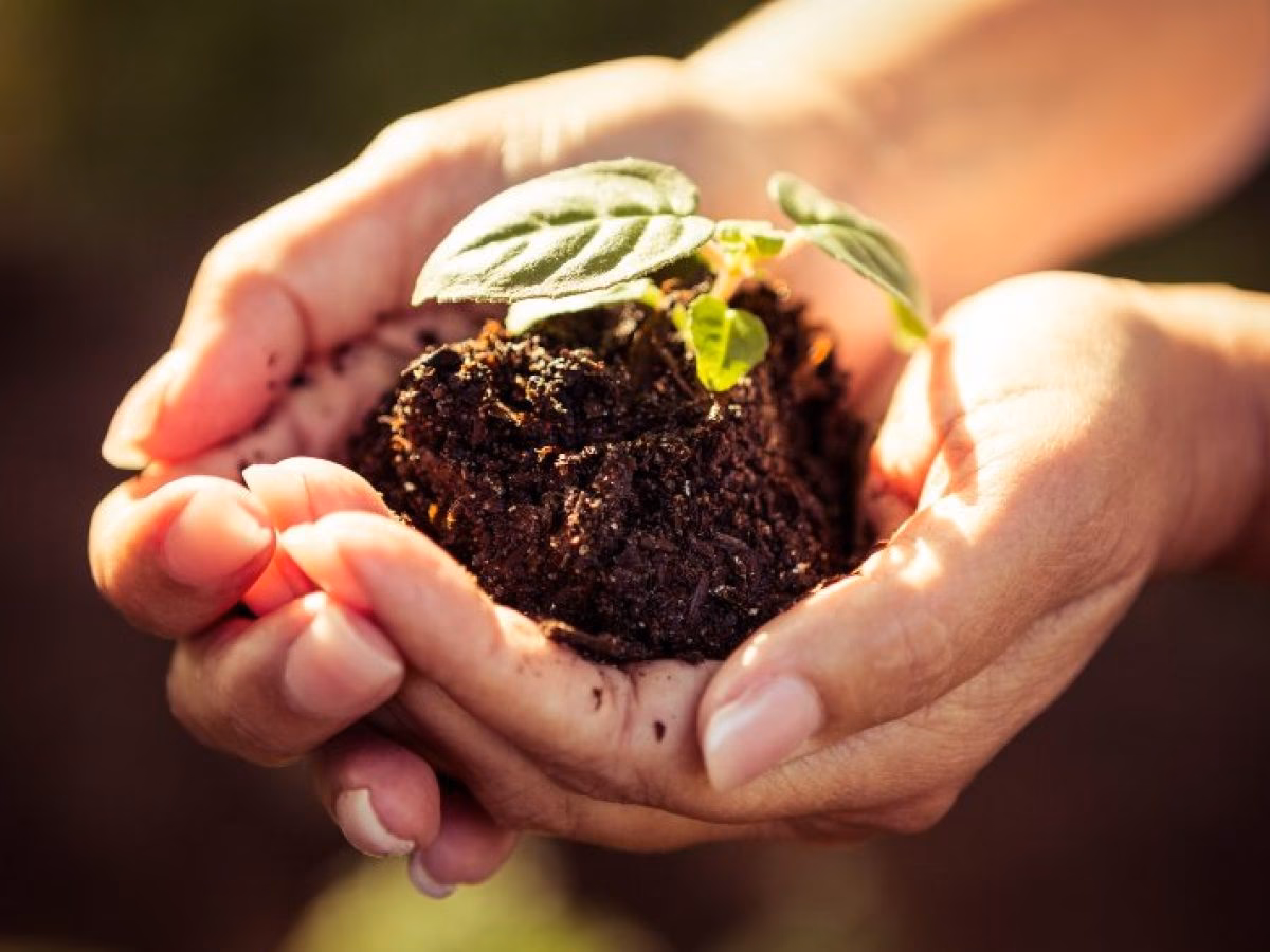 ¿Cuáles son los objetivos de la Cumbre Mundial sobre Desarrollo Sostenible?