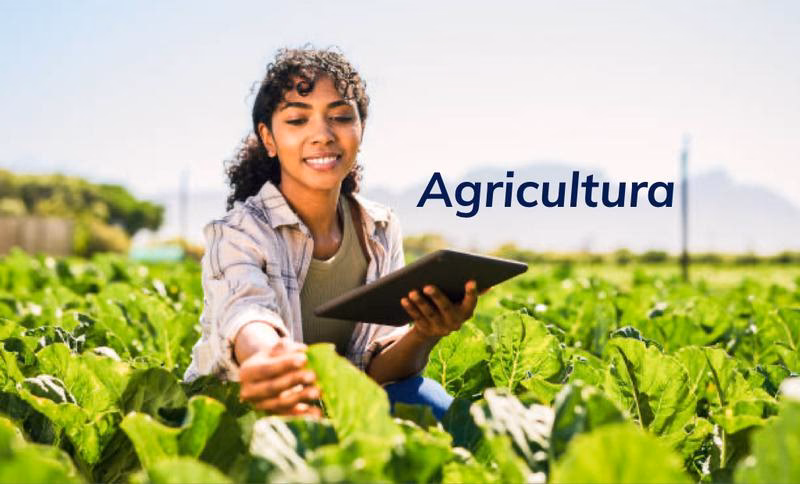 ¿Qué es un curso gratis de agricultura?
