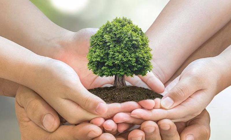 ¿Cómo puedo obtener un certificado de medio ambiente?