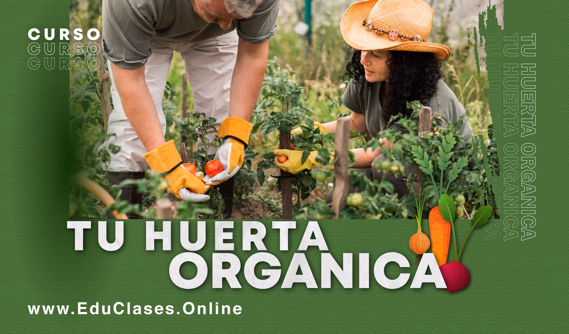 ¿Cuántos cursos tiene el Ministerio de Agricultura?