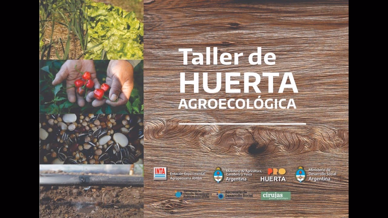 ¿Qué es el curso de Huerta agroecológica?