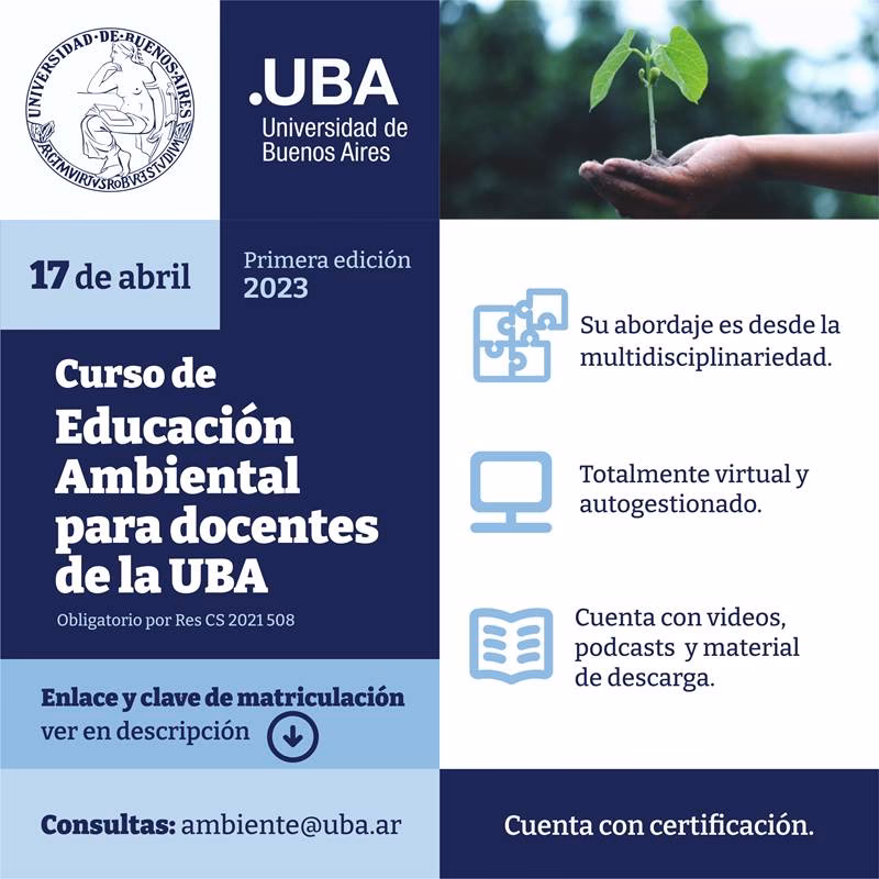 ¿Cómo ha sido el ambiente durante el curso?