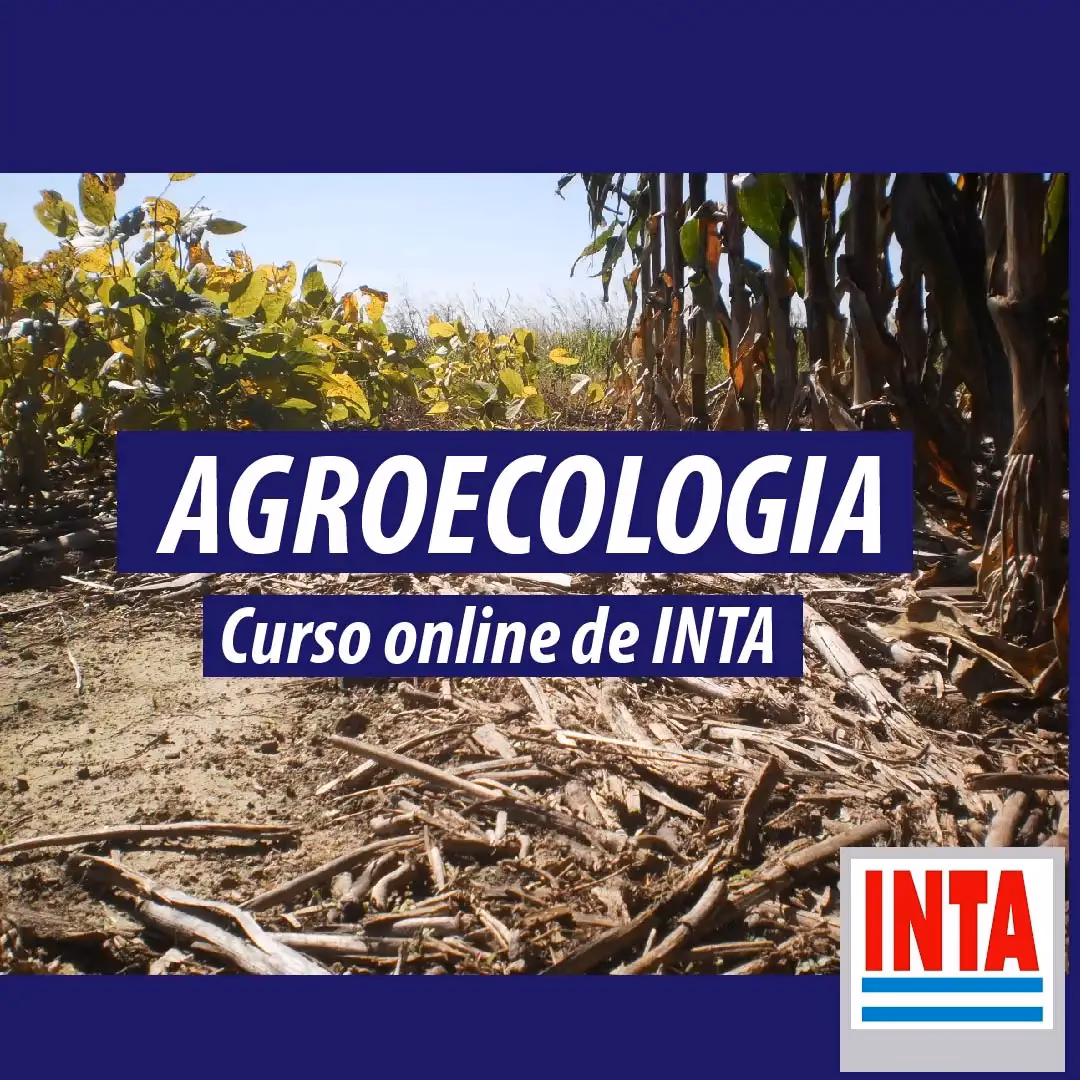 ¿Qué es un Curso de Agricultura Online?