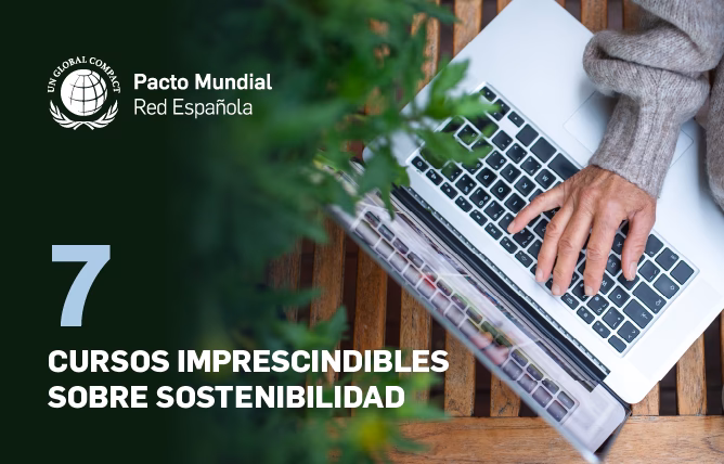 ¿Qué es el curso de sostenibilidad corporativa?