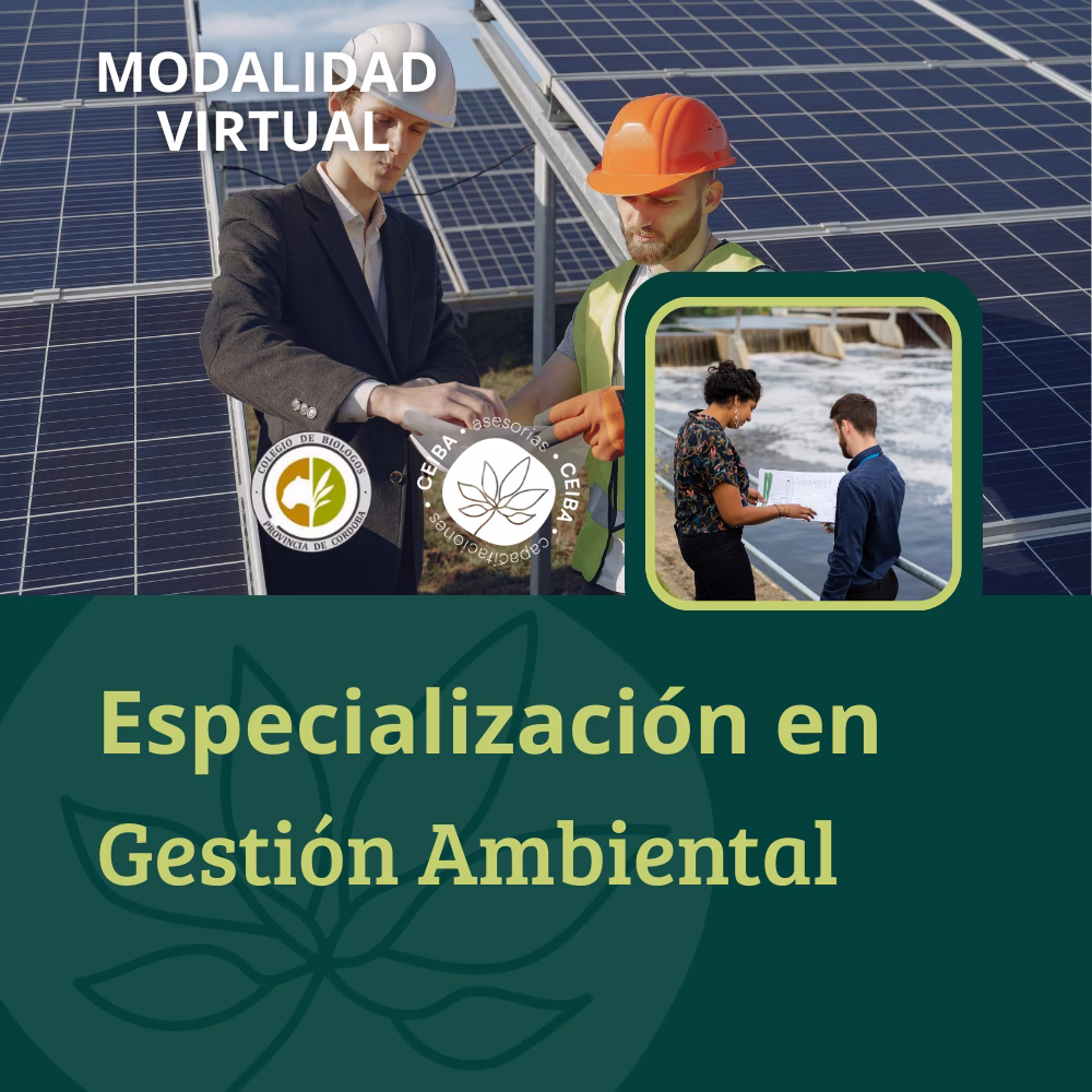 ¿Qué son los cursos de medio ambiente con aplicación inmediata en empresas?