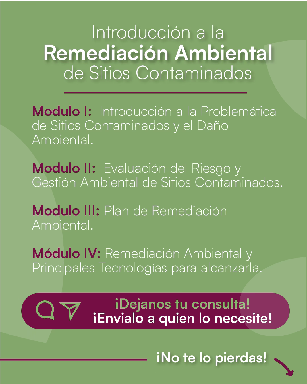 ¿Cuáles son los trabajos de grado de pregrado en el tratamiento de aguas contaminadas con pesticidas?