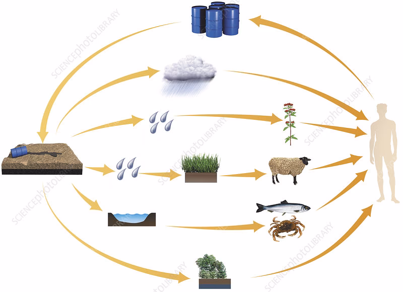 Does the background BC value determine the exposure of cyclists to pollutants?