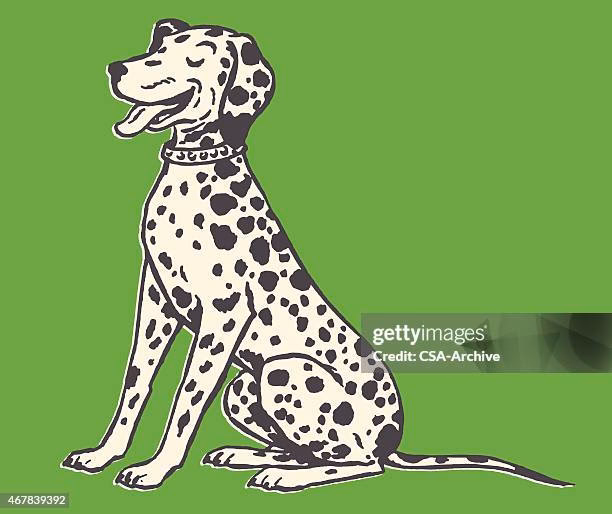 ¿Cómo es el comportamiento del dálmata?