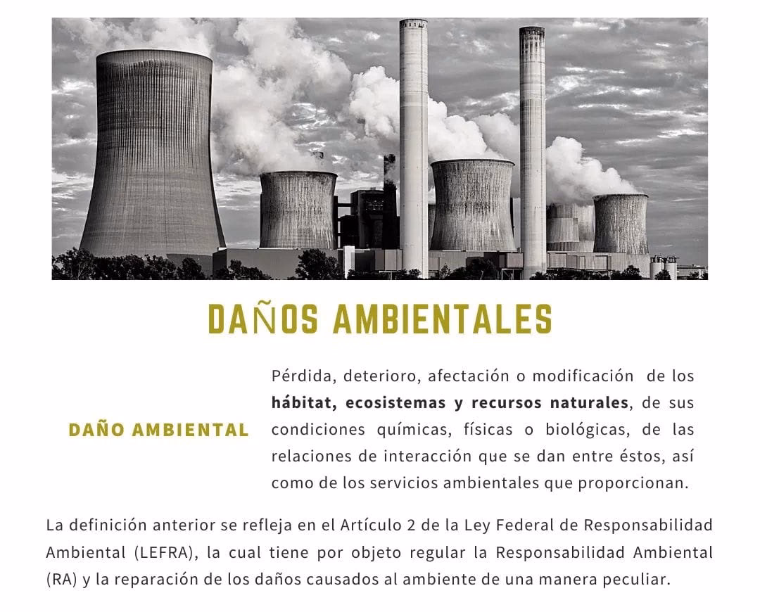 ¿Qué guía el documento para determinar la significatividad del daño medioambiental?
