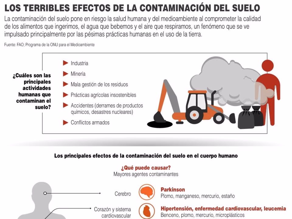 ¿Cuáles son los grupos de población más afectados por la contaminación del suelo?