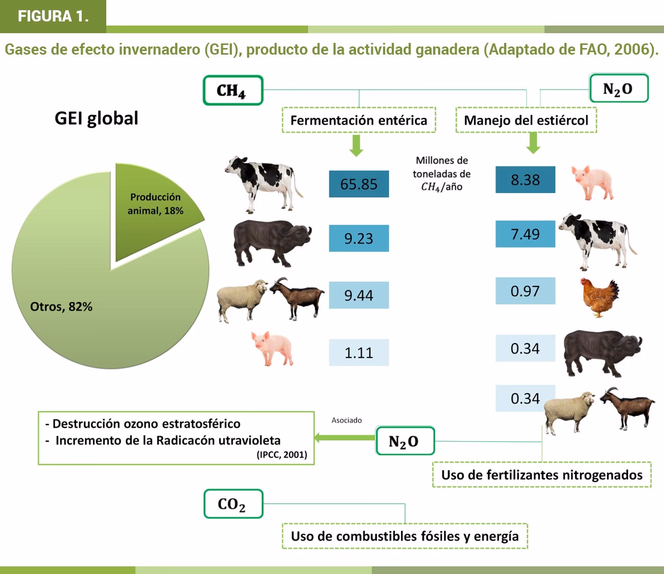 ¿Cómo afecta el cambio climático a los pandas?