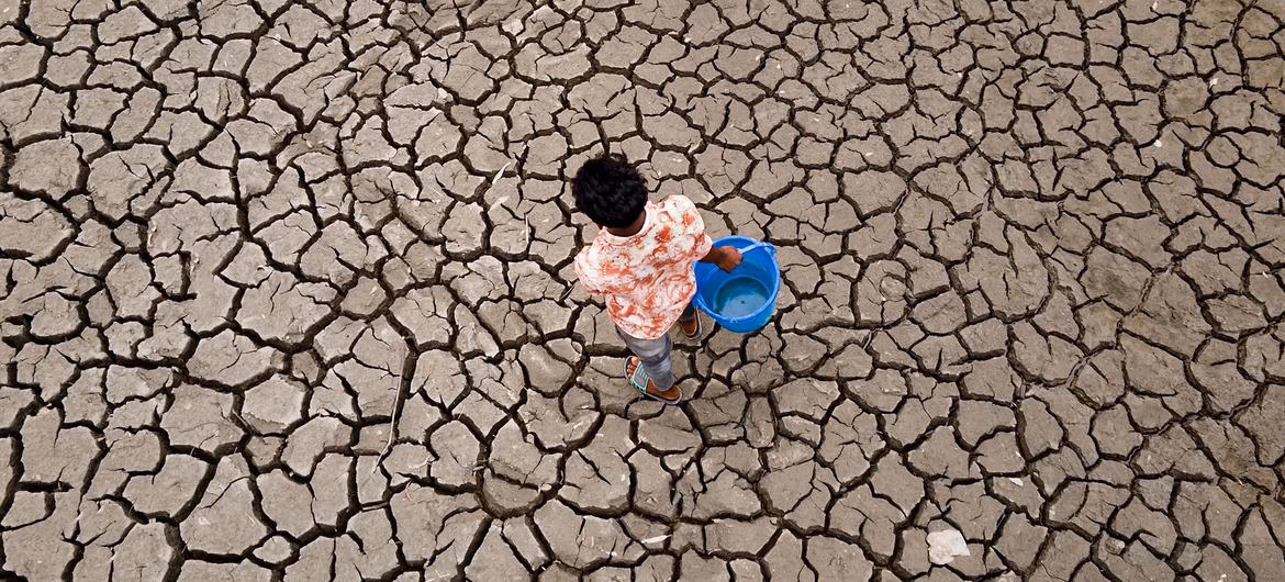 ¿Cómo afecta el cambio climático a los niños?