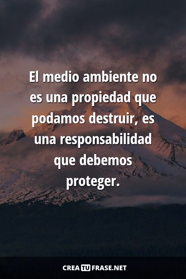 ¿Cuáles son las propiedades del destino en el medio ambiente?