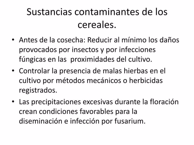 ¿Cuál es el papel del acopio en la logística de los granos?